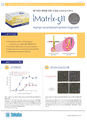 효율적인 줄기세포 배양을 위한 coating matrix